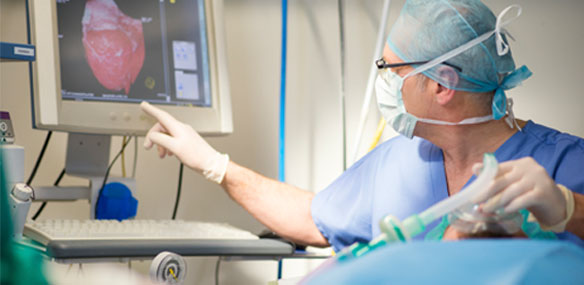 Cirug&iacute;a Intervencionista Cardiovascular