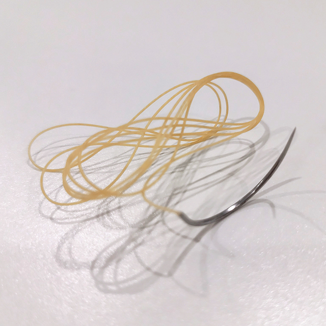 Sutura crómica simple absorbible quirúrgica con aguja