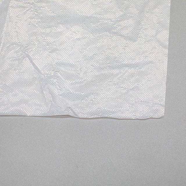 Delantal desechable de PE impermeable HDPE/LDPE