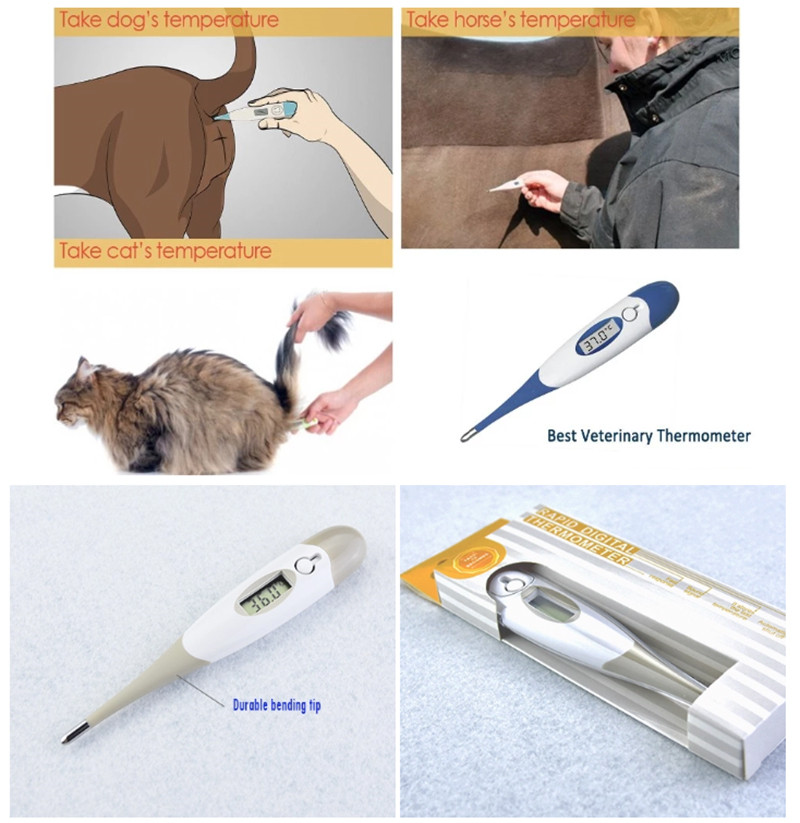 Term&oacute;metro digital 800