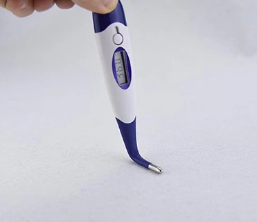 term&oacute;metro digital