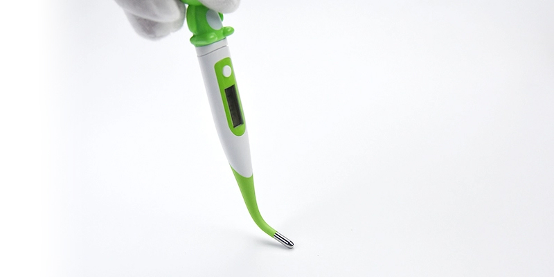 Term&oacute;metro digital 800 (2)