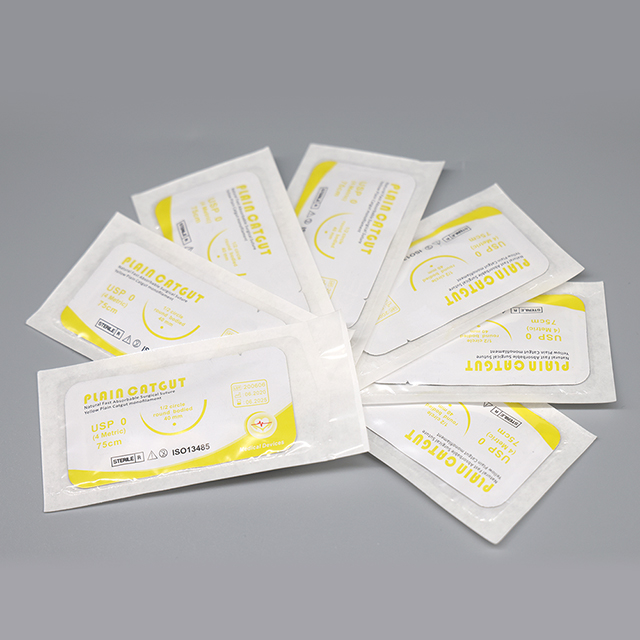 Sutura crómica simple absorbible quirúrgica con aguja
